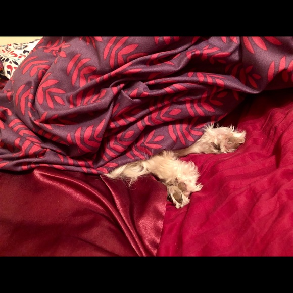 🌟❤️JEFFERSON❤️🌟 - Picture 7 of 13